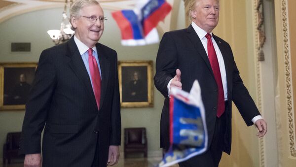Small Russian flags bearing the word Trump are thrown by a protester at President Donald Trump as he walks with Senate Majority Leader Mitch McConnell, R-Ky. on Capitol Hill to have lunch with Senate Republicans and push for his tax reform agenda, in Washington, 24 October 2017 - Sputnik International