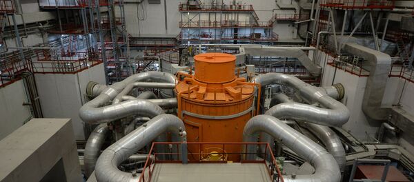 The central hall of the fourth generating unit with a BN-800 nuclear reactor at the Beloyarskaya Nuclear Power Plant in Zarechny, Sverdlovsk Region. (File) The central hall of the fourth generating unit with a BN-800 nuclear reactor at the Beloyarskaya Nuclear Power Plant in Zarechny, Sverdlovsk Region. (File) - Sputnik International