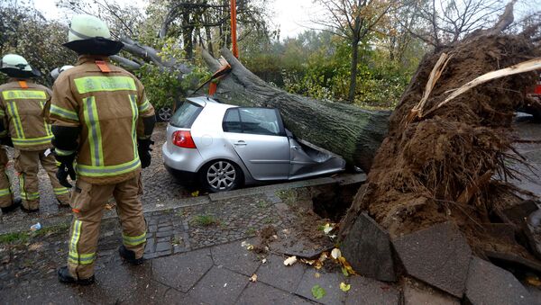 Firefighters are pictured next to a car damaged by a tree during stormy weather caused by storm called Herwart in Berlin, Germany, October 29, 2017 - Sputnik International