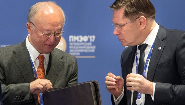 Alexei Likhachyov, right, General Director of the Rosatom State Corporation, and Yukiya Amano, Director General of the International Atomic Energy Agency, during the panel session, The Role of Nuclear in the Green Energy Mix, held as part of the 2017 St. Petersburg International Economic Forum - Sputnik International