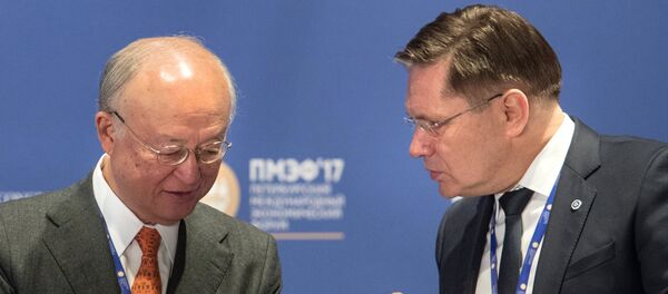 Alexei Likhachyov, right, General Director of the Rosatom State Corporation, and Yukiya Amano, Director General of the International Atomic Energy Agency, during the panel session, The Role of Nuclear in the Green Energy Mix, held as part of the 2017 St. Petersburg International Economic Forum - Sputnik International