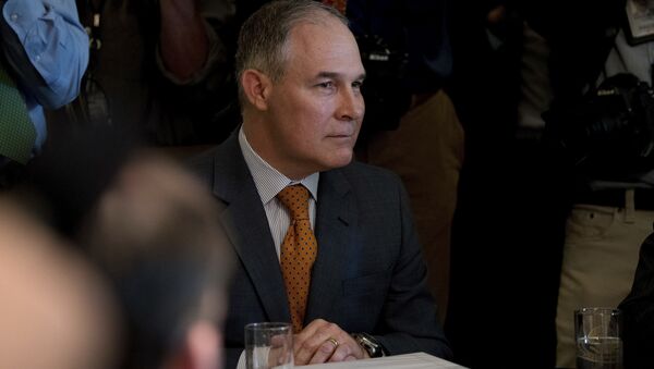 Environmental Protection Agency Administrator Scott Pruitt attends a Cabinet meeting with President Donald Trump, Monday, June 12, 2017, in the Cabinet Room of the White House in Washington. - Sputnik International