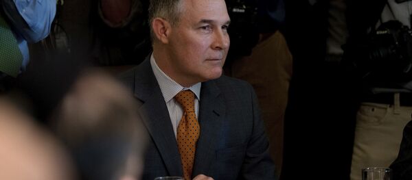 Environmental Protection Agency Administrator Scott Pruitt attends a Cabinet meeting with President Donald Trump, Monday, June 12, 2017, in the Cabinet Room of the White House in Washington. Environmental Protection Agency Administrator Scott Pruitt attends a Cabinet meeting with President Donald Trump, Monday, June 12, 2017, in the Cabinet Room of the White House in Washington. - Sputnik International