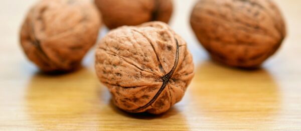 Walnuts - Sputnik International