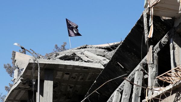 A flag of Islamic State militants is pictured above a destroyed house near the Clock Square in Raqqa, Syria October 18, 2017 - Sputnik International