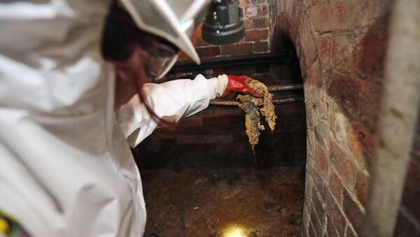 Thames Water field operation manager Natalie Stearn holds a piece of the Fatberg in an 1852-built sewer at Westminster in London, Monday, Sept. 25, 2017 - Sputnik International