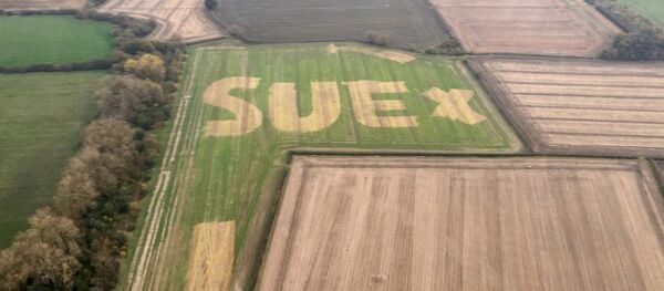 Murray Graham spelled the letters out by spraying weedkiller on the field - Sputnik International