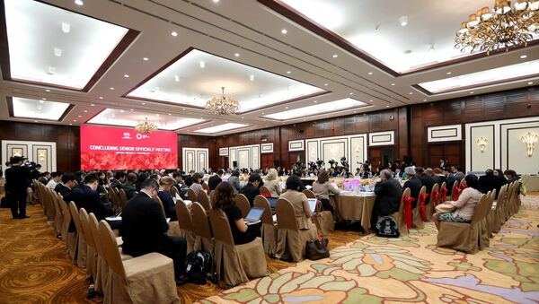 General view of the concluding senior official's meeting in Da Nang, Vietnam, November 6, 2017 - Sputnik International