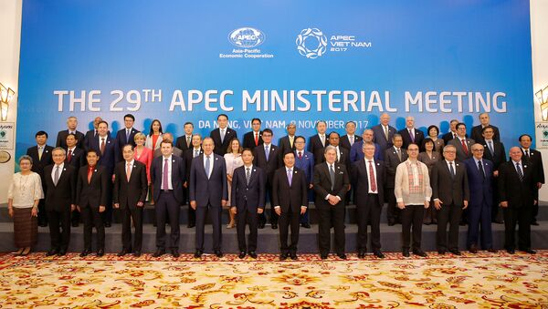 Ministers gather for a group photo after the APEC Ministerial Meeting (AMM) ahead of the Asia-Pacific Economic Cooperation (APEC) Summit leaders meetings in Danang, Vietnam, November 8, 2017 - Sputnik International