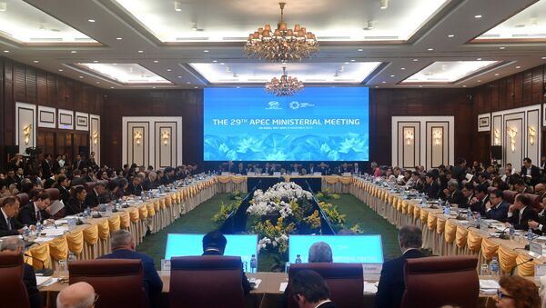General view shows ministers as they attend the opening of the APEC Ministerial Meeting (AMM) ahead of the Asia-Pacific Economic Cooperation (APEC) Summit leaders meetings in Danang, Vietnam, November 8, 2017 - Sputnik International