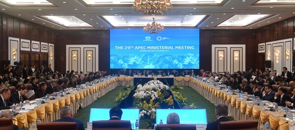 General view shows ministers as they attend the opening of the APEC Ministerial Meeting (AMM) ahead of the Asia-Pacific Economic Cooperation (APEC) Summit leaders meetings in Danang, Vietnam, November 8, 2017 - Sputnik International