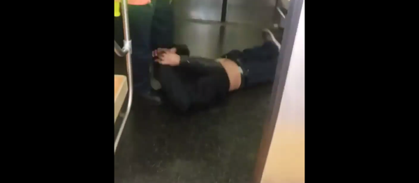 Subway passenger gets kicked, dragged by MTA employee Subway passenger gets kicked, dragged by MTA employee - Sputnik International
