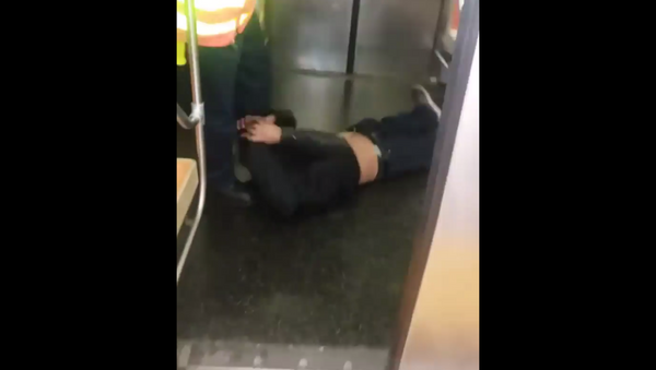 Subway passenger gets kicked, dragged by MTA employee - Sputnik International