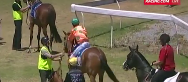 Dylan Caboche has been banned from racing for two weeks after punching his horse Dylan Caboche has been banned from racing for two weeks after punching his horse - Sputnik International