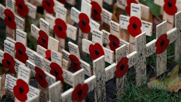 Wooden crosses adorned with poppies are laid out in the Field of Remembrance in London, Britain November 11, 2017 - Sputnik International
