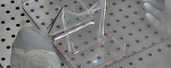 In this undated photo, technicians lift up a sheet of human skin cells at the Center for Regenerative Medicine at the University of Modena in Italy - Sputnik International