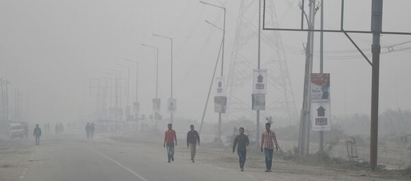 People walk through smog near Delhi, India November 13, 2017 - Sputnik International