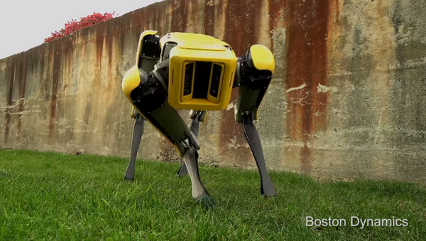Boston Dynamics reveals new dog robot named Spot Mini - Sputnik International