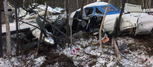 L-410 which crashed in Khabarovsk region on November 15, 2017 L-410 which crashed in Khabarovsk region on November 15, 2017 - Sputnik International