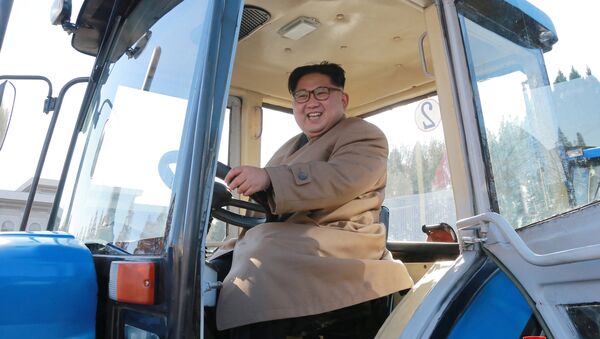 North Korean leader Kim Jong Un gives field guidance to the Kumsong Tractor Factory in Pyongyang - Sputnik International