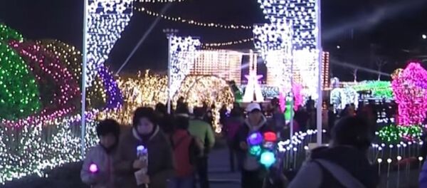 Festival of Light in South Korea Festival of Light in South Korea - Sputnik International