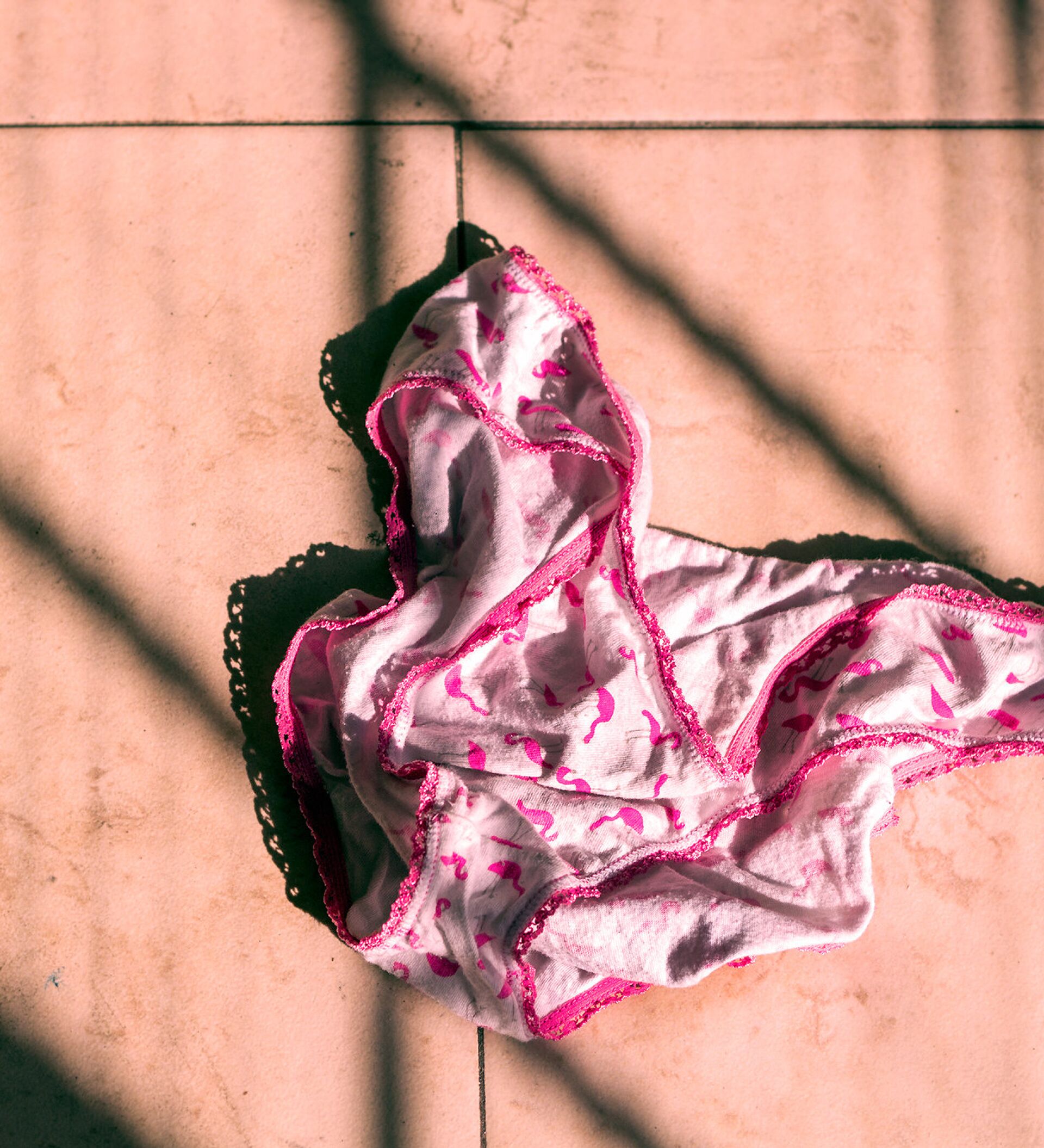 Airing Dirty Laundry: Worn Panties Become Hot Commodity in Denmark