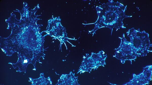 Cancer cells - Sputnik International