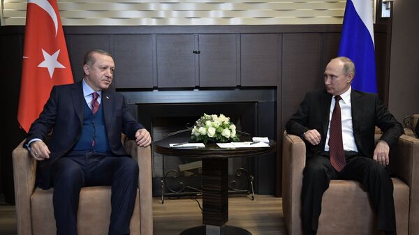November 13, 2017. Russian President Vladimir Putin and Turkish President Recep Tayyip Erdogan (left) during the meeting - Sputnik International