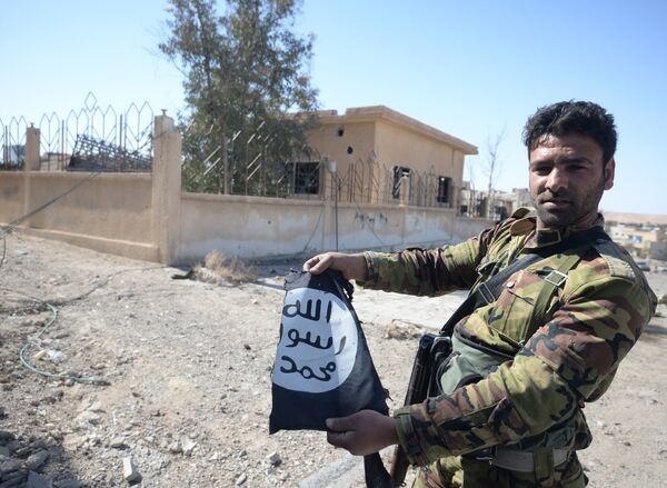 A Syrian army soldier in the town of Al-Qaryatayn liberated from ISIS militants. (File) A Syrian army soldier in the town of Al-Qaryatayn liberated from ISIS militants. (File) - Sputnik International