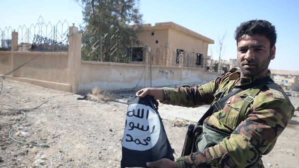 A Syrian army soldier in the town of Al-Qaryatayn liberated from ISIS militants. (File) - Sputnik International