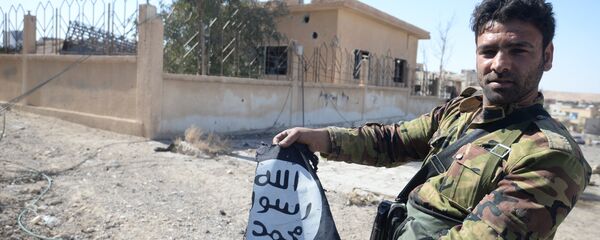 A Syrian army soldier in the town of Al-Qaryatayn liberated from ISIS militants. (File) - Sputnik International