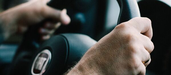 A driver behind the wheel A driver behind the wheel - Sputnik International