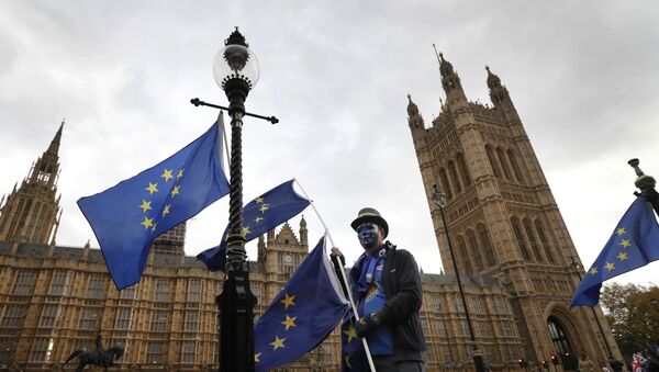 An anti-Brexit, pro European Union campaigner holds a EU flag, near Parliament in London, Wednesday, Nov. 22, 2017. Britain's Treasury chief has little room to maneuver Wednesday as he reveals his spending plans to a nation bracing for the shock of Brexit. - Sputnik International