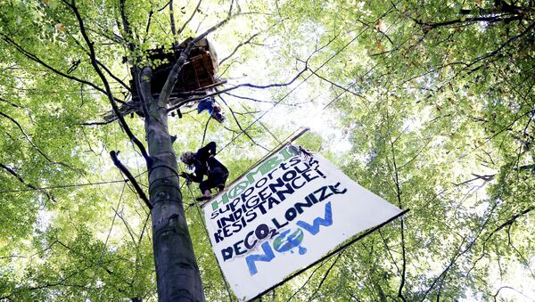 an activist climbs up a tree at the Hambach forest near Morschenich, Germany. Cologne’s administrative court ruled Friday, Nov. 24, 2017 against a legal complaint brought by the environmental group BUND that wanted to halt the clearance of much of Hambach forest - Sputnik International