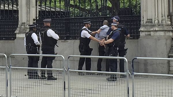 Metropolitan Police detaining a man in London, Friday June 16, 2017 - Sputnik International