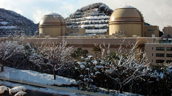 Japan’s Ohi Nuclear Power Plant. (File) - Sputnik International