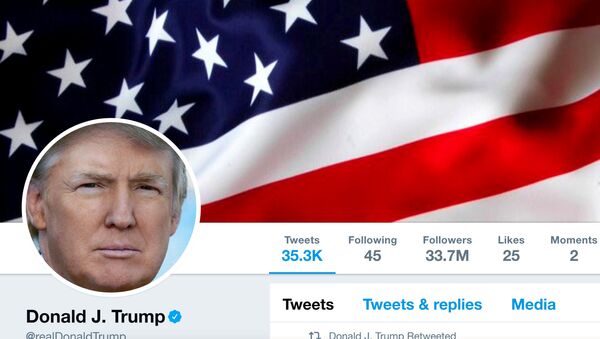 The masthead of U.S. President Donald Trump's @realDonaldTrump Twitter account is seen on July 11, 2017 - Sputnik International