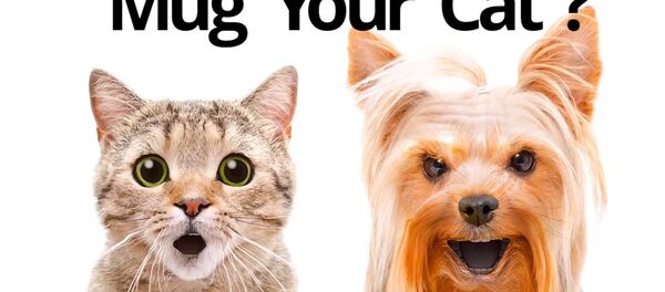 Mug Life application - Sputnik International