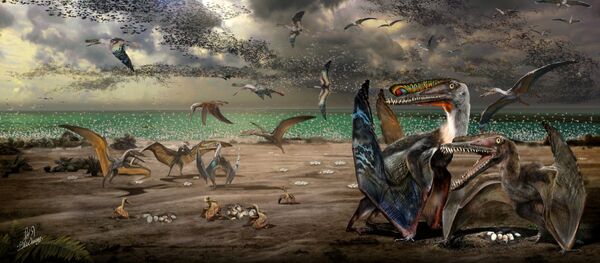 An artist’s illustration shows individuals from the fish-eating pterosaur species Hamipterus tianshanensis, including adults, juvenile and eggs in this handout illustration obtained by Reuters November 30, 2017 An artist’s illustration shows individuals from the fish-eating pterosaur species Hamipterus tianshanensis, including adults, juvenile and eggs in this handout illustration obtained by Reuters November 30, 2017 - Sputnik International