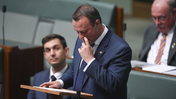 Liberal MP Tim Wilson reacts after proposing to his partner Ryan Bolger during debate of the Marriage Amendment bill in the House of Representatives at Parliament House in Canberra, December 4, 2017 - Sputnik International