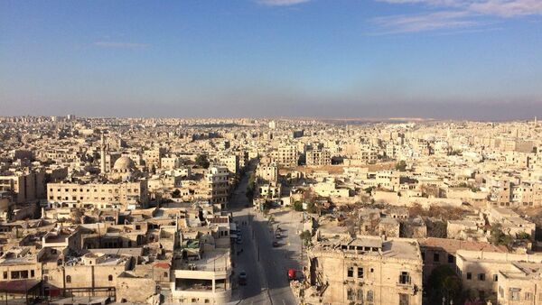 Aleppo view - Sputnik International