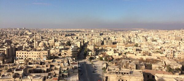 Aleppo view - Sputnik International