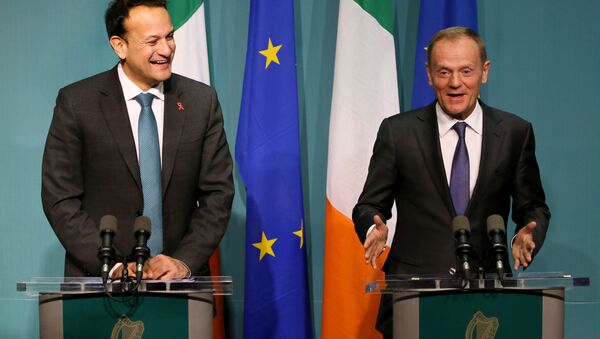 European Council President Donald Tusk (R) and Ireland's Prime Minister (Taoiseach) Leo Varadkar address a joint press conference at the Government buildings in Dublin - Sputnik International