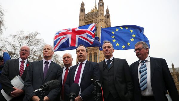 Anti-Brexit protesters hold flags as Nigel Dodds, deputy leader of the Democratic Unionist Party speaks, flanked by other DUP MP's, outside the Houses of Parliament, London, Britain December 5, 2017. - Sputnik International