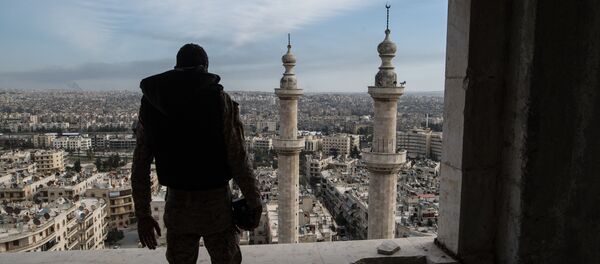 A soldier in Aleppo - Sputnik International