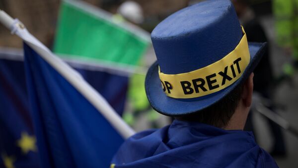 An Anti-Brexit protestor's hat displays the words 'Stop Brexit' as he stands outside the Houses of Parliament in London, Britain December 5, 2017. - Sputnik International