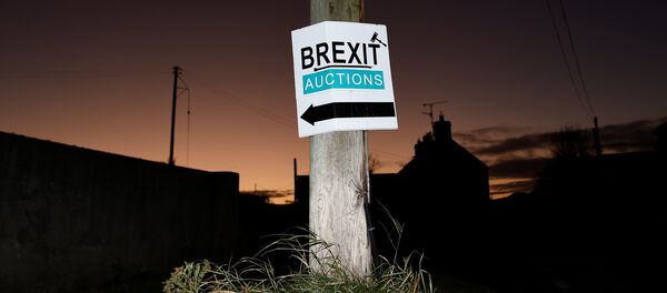 A sign for a Brexit auction is seen at sunset in the border town of Jonesborough, Northern Ireland, November 29, 2017 - Sputnik International