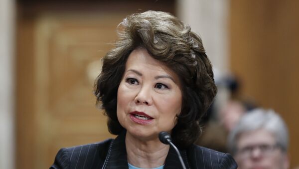 Transportation Secretary Elaine Chao testifies on Capitol Hill in Washington (File) - Sputnik International