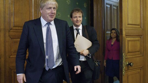 Britain's Foreign Secretary Boris Johnson (L) meets with Richard Ratcliffe, the husband of British-Iranian woman Nazanin Zaghari-Ratcliffe who is jailed in Iran, at the Foreign and Commonwealth Office in London on November 15, 2017 - Sputnik International