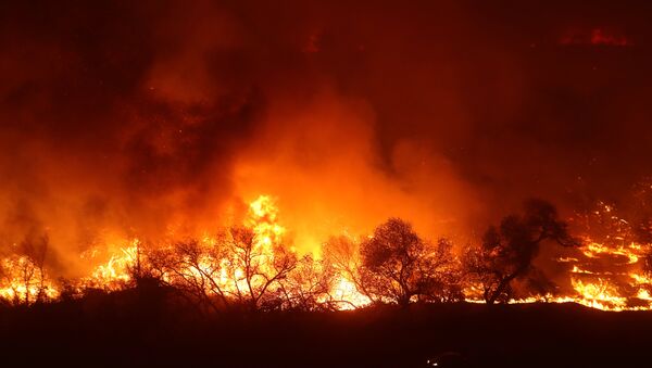 A car drives past a large wall of approaching flames from the Lilac Fire, a fast moving wild fire in Bonsall, California, U.S., December 7, 2017. - Sputnik International